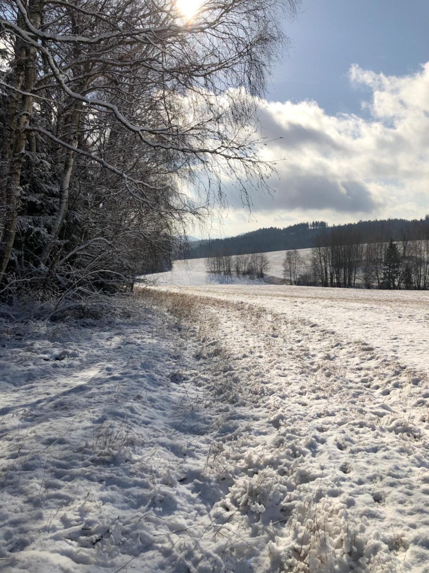 Penzion Budopartner Jívka Exteriör bild
